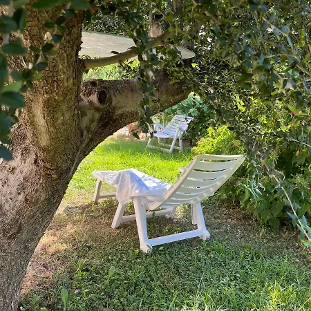 Free Parking Comfortable In The Historic Village Of With Garden Lägenhet *